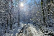 Zimska idila v Prlekiji