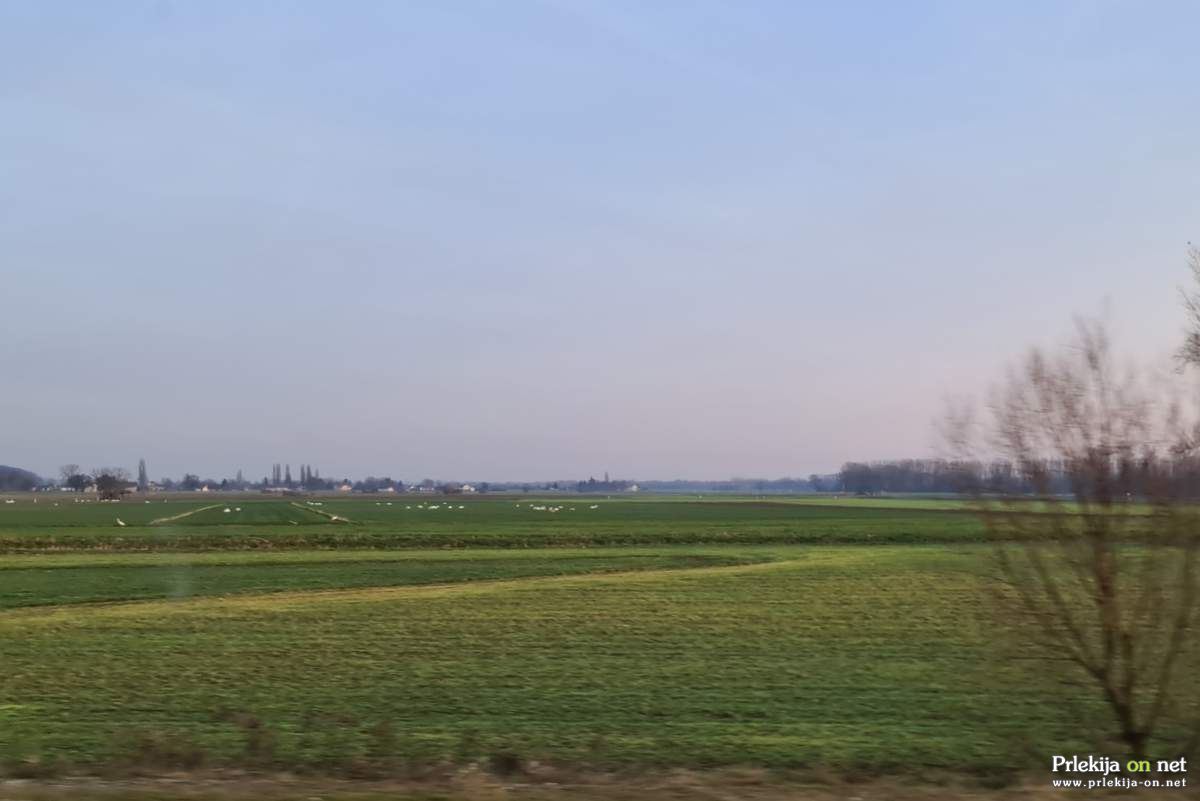 Potres so zabeležili 6 km zahodno od Ormoža Potres so zabeležili 6 km zahodno od Ormoža