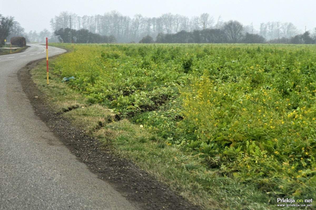Vozilo je zapeljalo s cestišča Vozilo je zapeljalo s cestišča