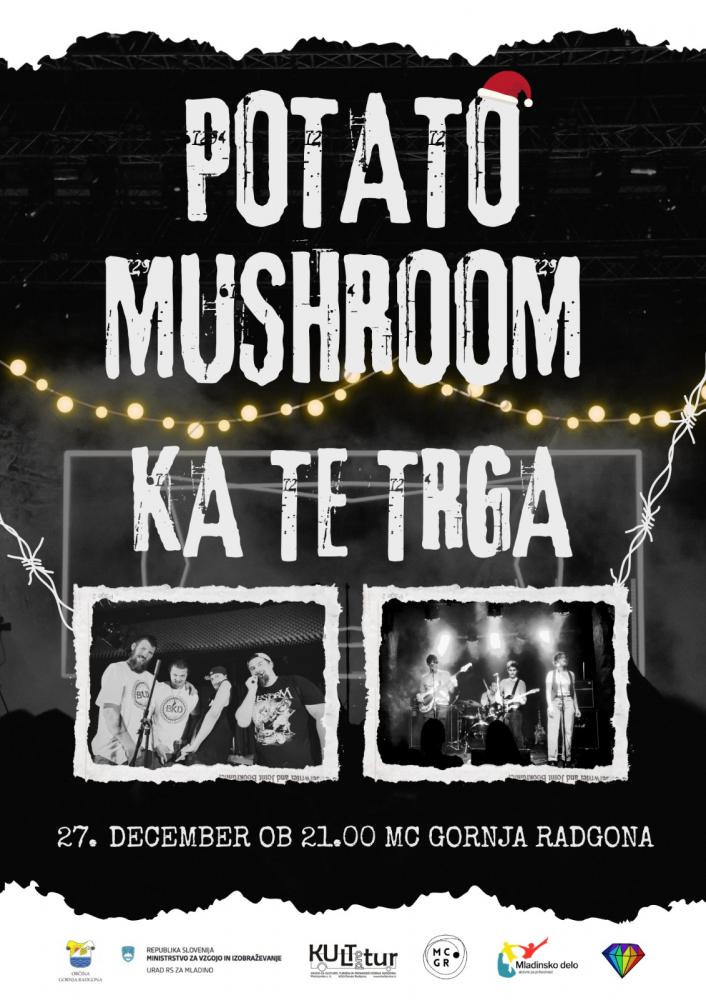Koncert POTATO MUSHROOM in KA TE TRGA