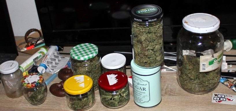 Zaseg posušenih rastlinski vršičkov, foto: PU Murska Sobota Zaseg posušenih rastlinski vršičkov, foto: PU Murska Sobota