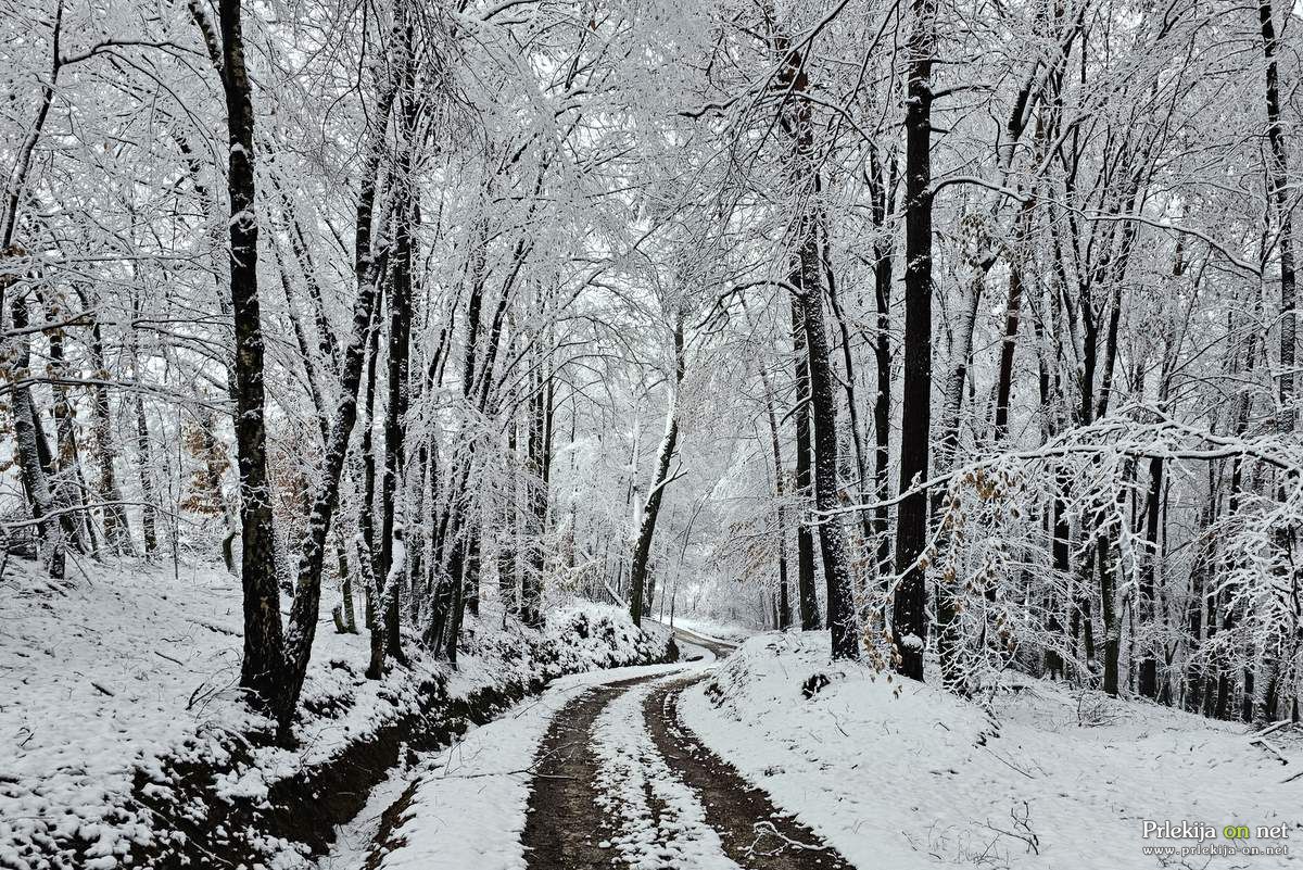 Sneg na božični dan Sneg na božični dan