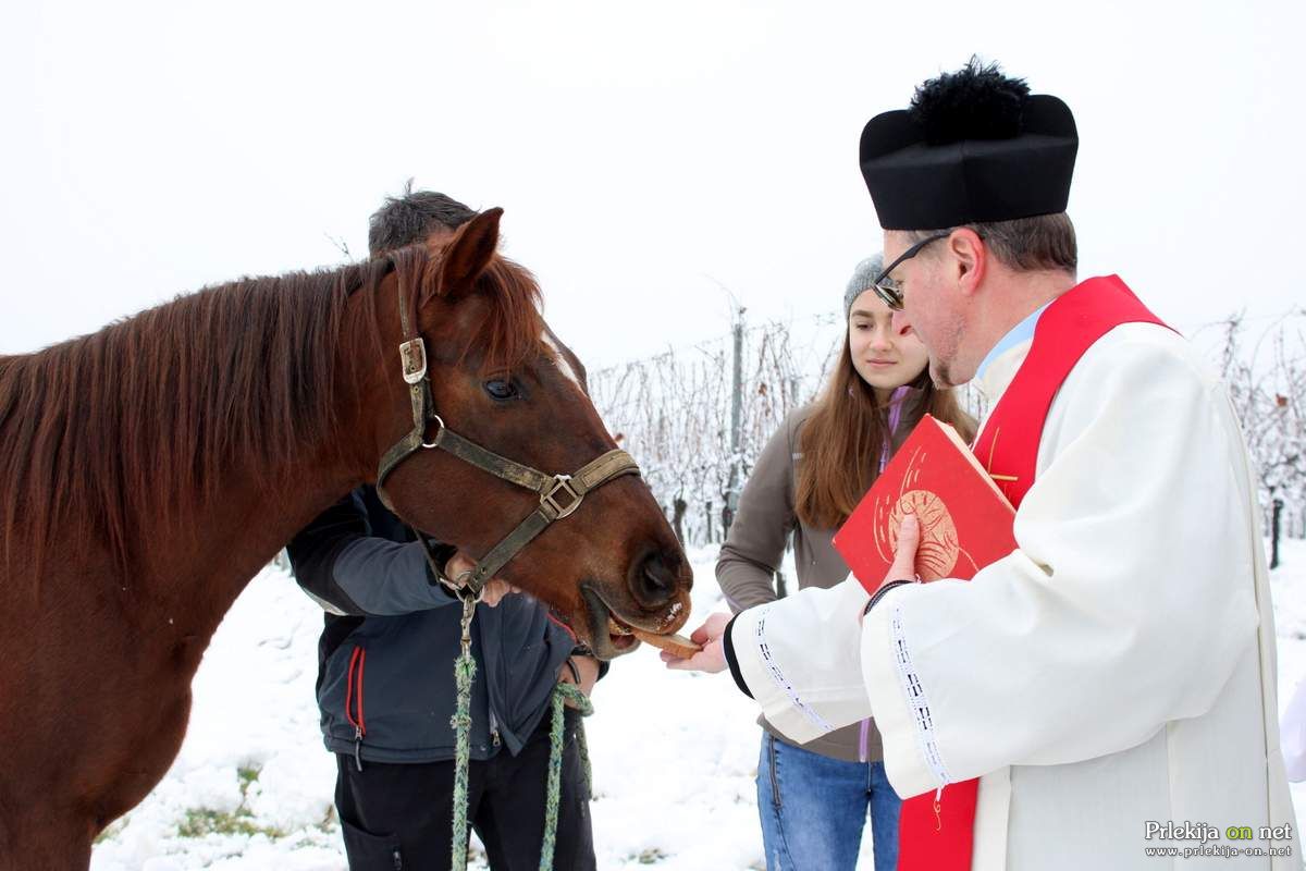 Blagoslov konjev na Kapeli