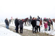 Blagoslov konjev na Kapeli