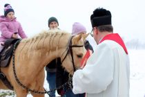 Blagoslov konjev na Kapeli