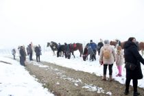 Blagoslov konjev na Kapeli