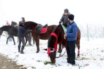 Blagoslov konjev na Kapeli