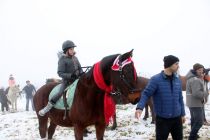 Blagoslov konjev na Kapeli