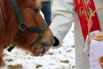 Blagoslov konjev na Kapeli