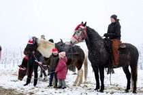 Blagoslov konjev na Kapeli