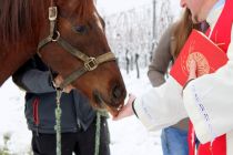 Blagoslov konjev na Kapeli