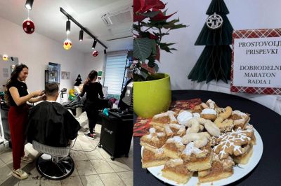 Dobrodelno striženje