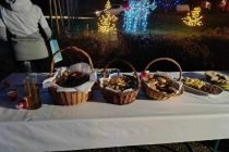 Jaslice v Rinčetovi Grabi