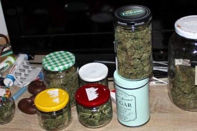 Zaseg posušenih rastlinski vršičkov