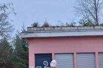 Miklavževanje na Razkrižju