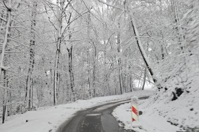 Sneg na božični dan