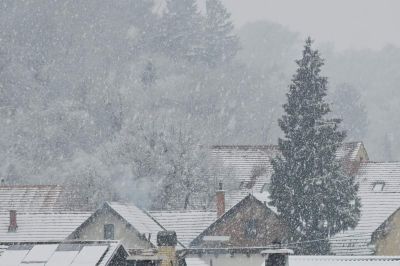 Sneg na božični dan