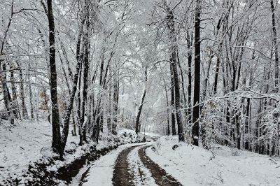 Sneg na božični dan