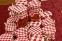 Praznični koncert na OŠ Mala Nedelja