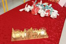 Praznični koncert na OŠ Mala Nedelja