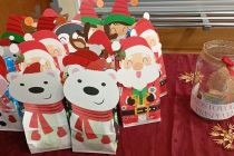 Praznični koncert na OŠ Mala Nedelja