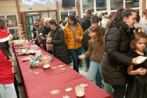 Praznični koncert na OŠ Mala Nedelja