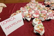 Praznični koncert na OŠ Mala Nedelja