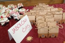 Praznični koncert na OŠ Mala Nedelja