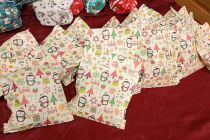 Praznični koncert na OŠ Mala Nedelja