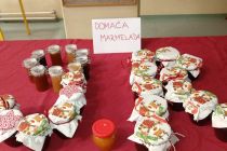 Praznični koncert na OŠ Mala Nedelja