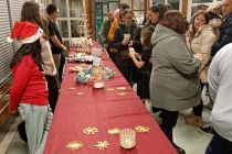 Praznični koncert na OŠ Mala Nedelja