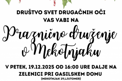 Praznično druženje v Mekotnjaku