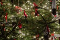 Prižig lučk na OŠ Ivana Cankarja Ljutomer