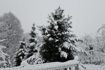 Sneg na božični dan