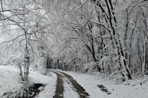 Sneg na božični dan