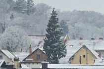 Sneg na božični dan