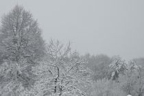 Sneg na božični dan