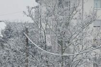 Sneg na božični dan