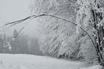 Sneg na božični dan