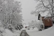 Sneg na božični dan