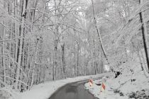 Sneg na božični dan