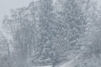 Sneg na božični dan