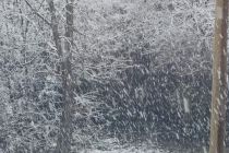 Sneg na božični dan