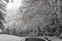 Sneg na božični dan