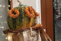 Vonj zelišč v vrtcu Mala Nedelja