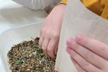 Vonj zelišč v vrtcu Mala Nedelja