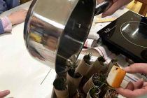 Vonj zelišč v vrtcu Mala Nedelja