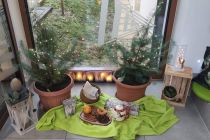 Vonj zelišč v vrtcu Mala Nedelja