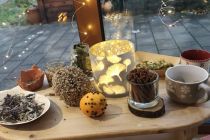 Vonj zelišč v vrtcu Mala Nedelja