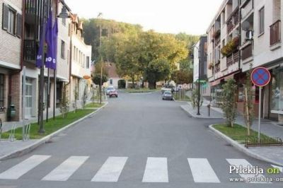 V torek bosta odstranjeni dve drevesi